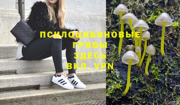 марки nbome Верхний Тагил